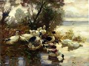 unknow artist, Ducks 095